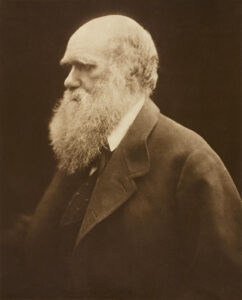 A picture of Charles Darwin